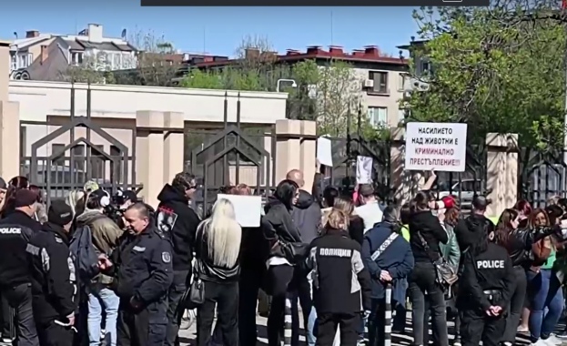 Протест пред Софийския градски съд срещу насилниците на животни
