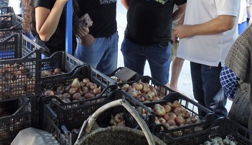 Има ли спекула преди Великден? Проверка на фермерския пазар във Велико Търново показва: цените са спокойни