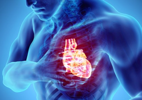 Тревожен ръст на сърдечната недостатъчност в Горна Оряховица: 283 пациенти за година