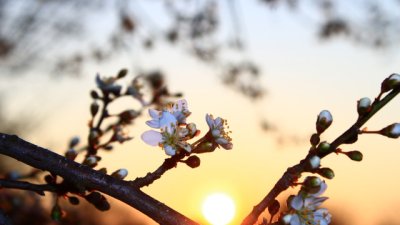 Пролетта идва в 16:46, но времето няма да е &bdquo;пролетно&ldquo; постоянно: НИМХ предупреждава за застудяване и сняг през април