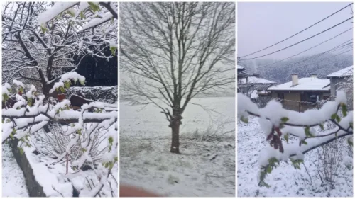 Арктически циклон удари по Великден: сняг на Шипка, градушка и 5 катастрофи край Поморие Админ редакция