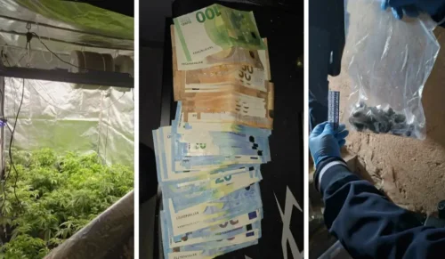 Удар срещу дрогата в София: 19 задържани, наркооранжерия и фентанил край училища
