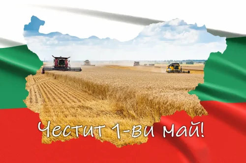 1 май &ndash; Денят на труда: как протестите за 8-часов работен ден промениха света