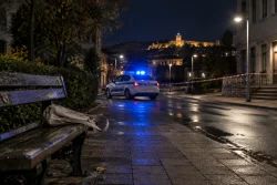 Полицията издирва четирима маскирани мъже за побой в Павликени