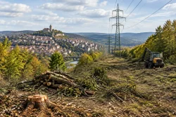 Велико Търново и Габрово водят по почистени просеки край далекопроводи